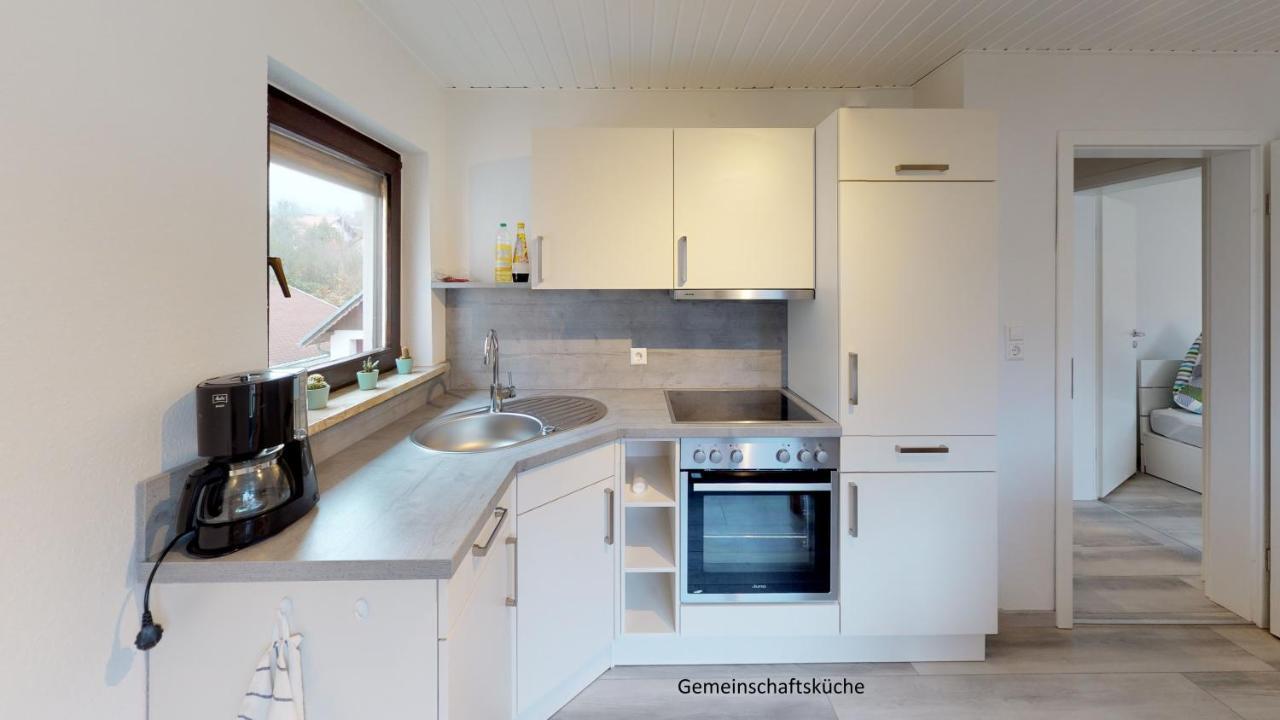 Apartments Mosbach มอสบาค ภายนอก รูปภาพ